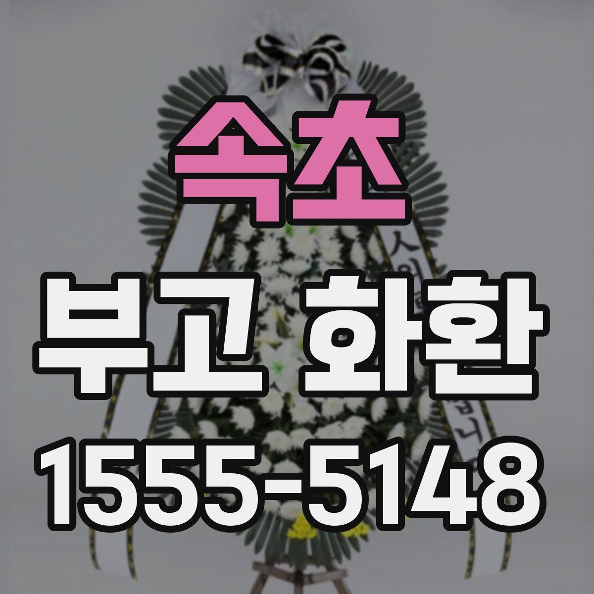 속초 부고 화환