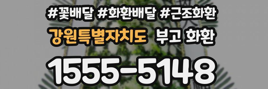 강원특별자치도 부고 화환