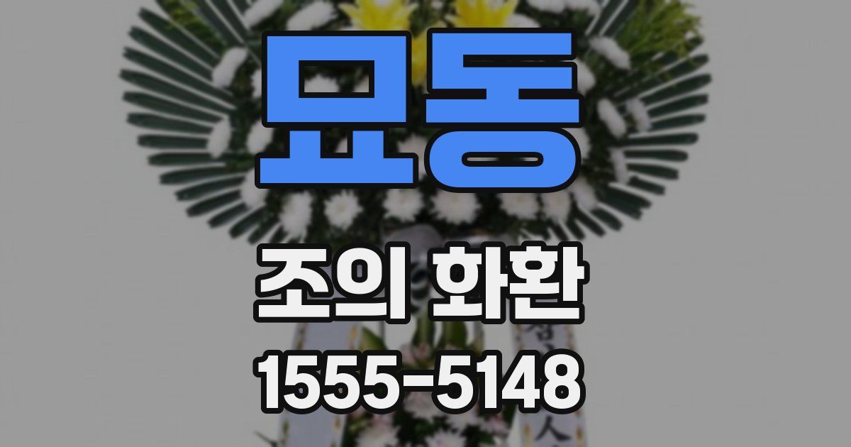 묘동 조의 화환