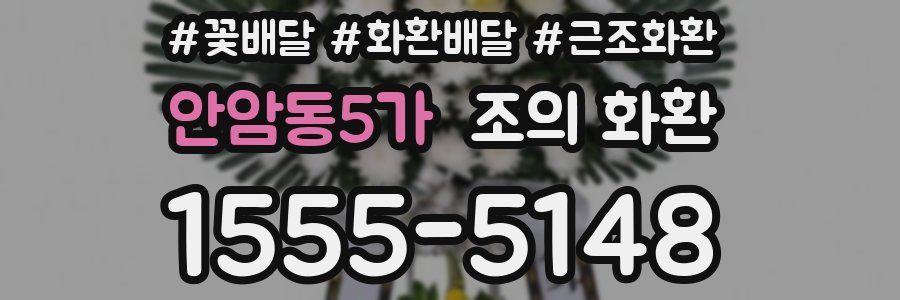 안암동5가 조의 화환