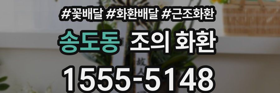송도동 조의 화환