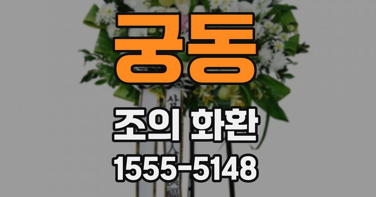 궁동 조의 화환