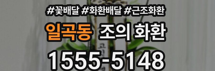 일곡동 조의 화환