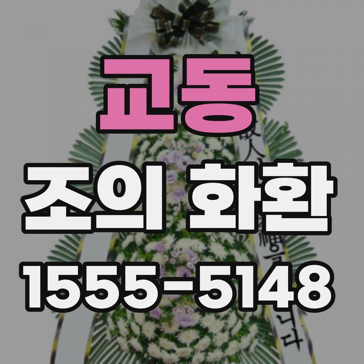교동 조의 화환 비용을 비교할 때 보는 포인트