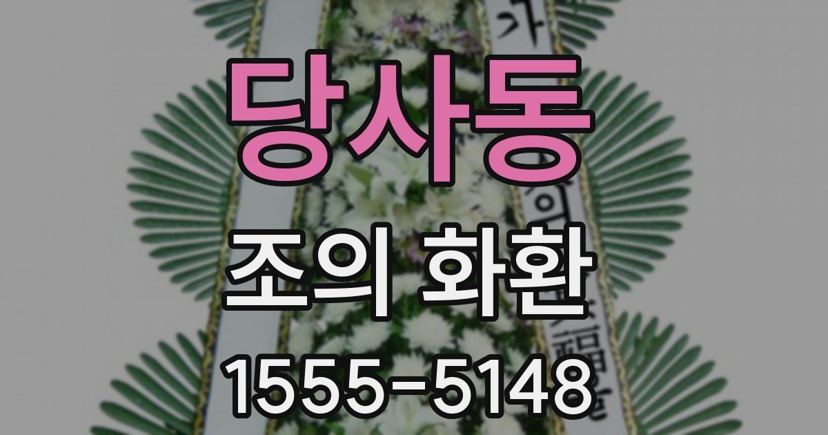 당사동 조의 화환