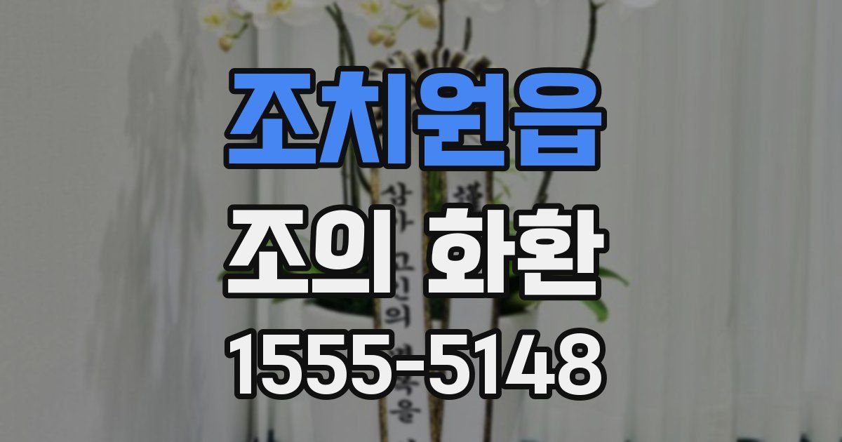 조치원읍 조의 화환