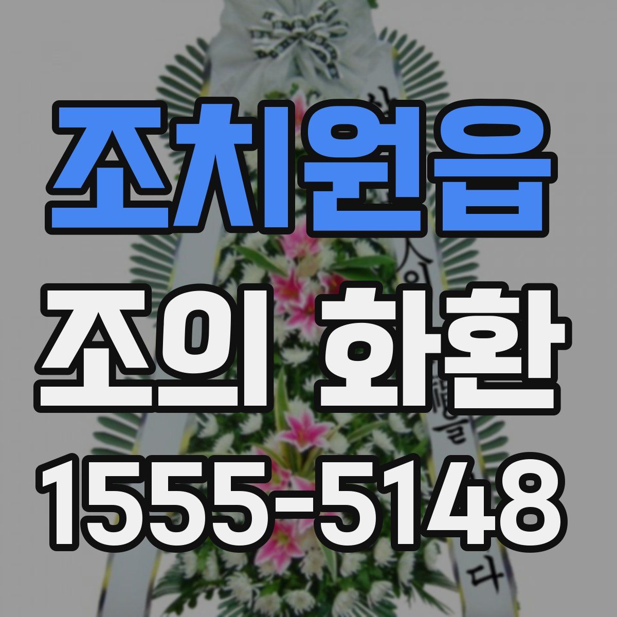 조치원읍 조의 화환