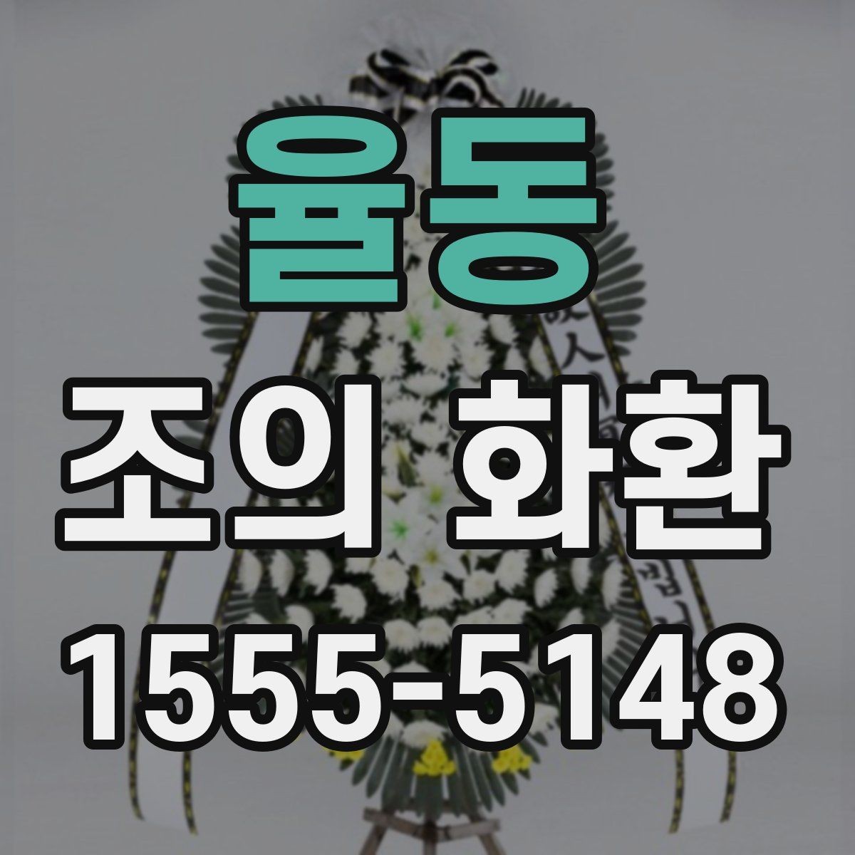 율동 조의 화환 사진과 실제 느낌 차이