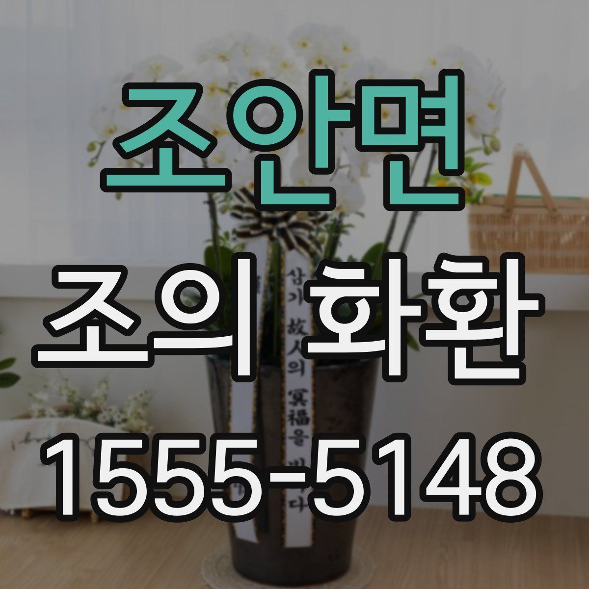 조안면 조의 화환