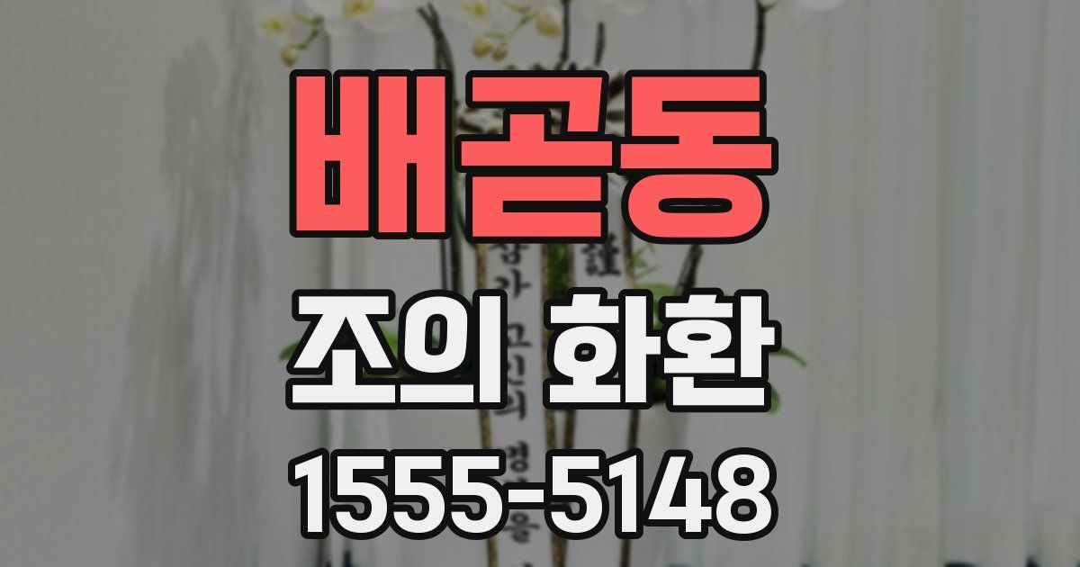 배곧동 조의 화환
