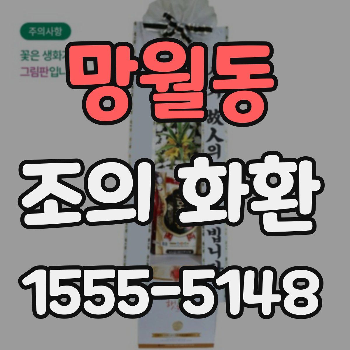 망월동 조의 화환