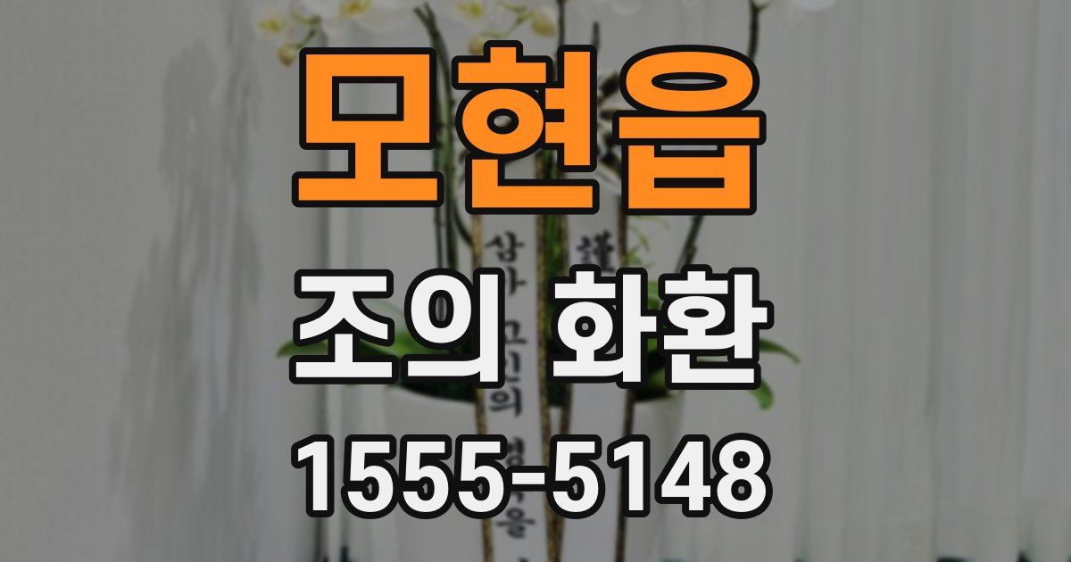 모현읍 조의 화환