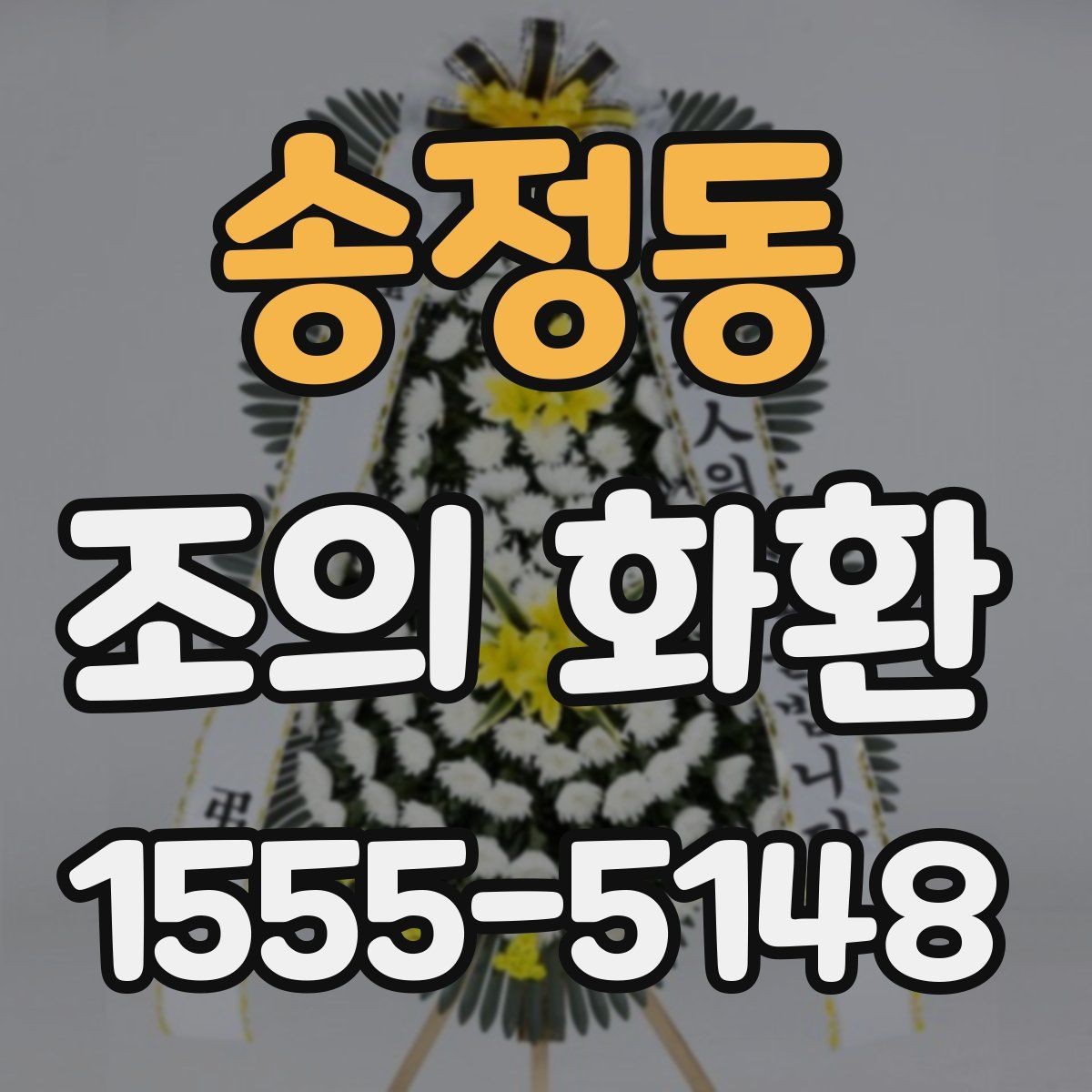 송정동 조의 화환 비교할 때 보기 쉬운 핵심 항목