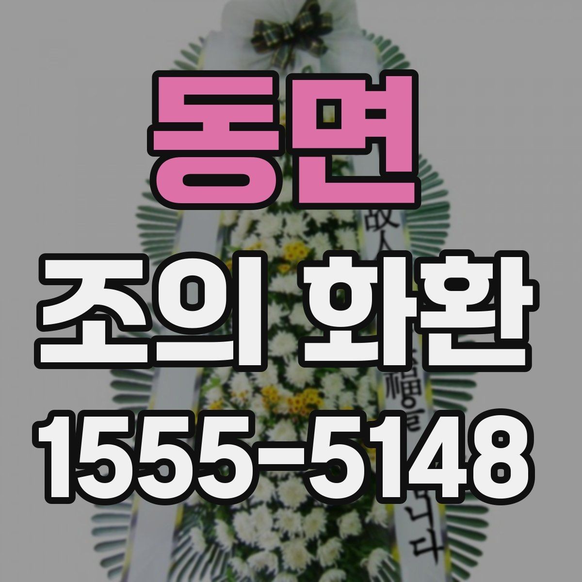 동면 조의 화환 비교할 때 보기 쉬운 핵심 항목