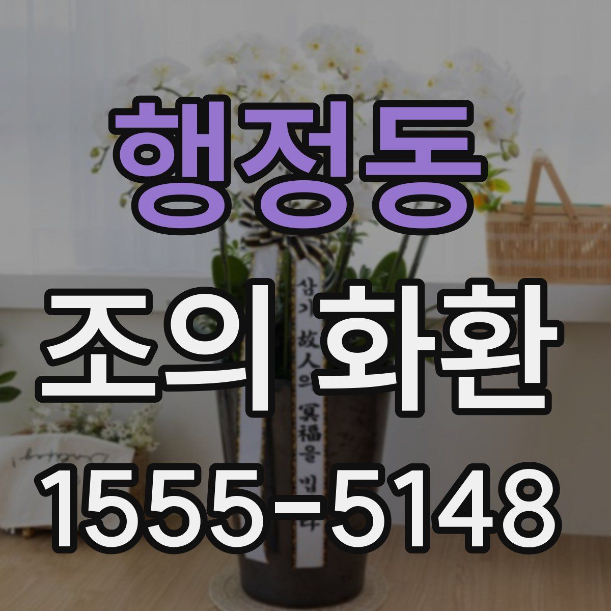 행정동 조의 화환