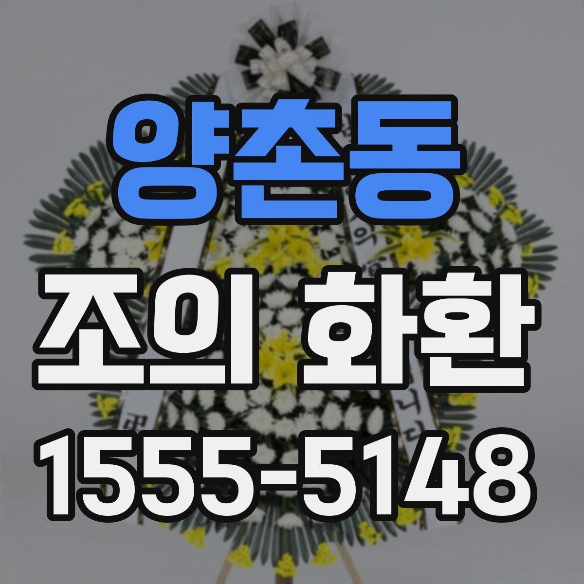 양촌동 조의 화환 가격을 비교할 때 보는 항목