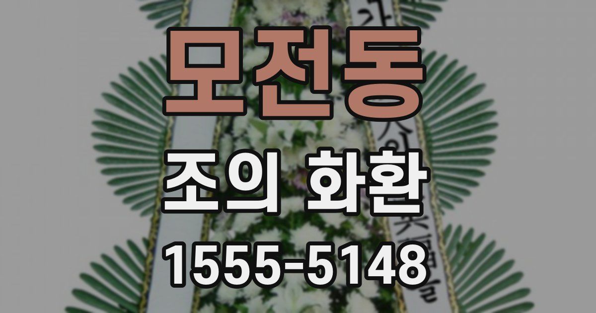 모전동 조의 화환