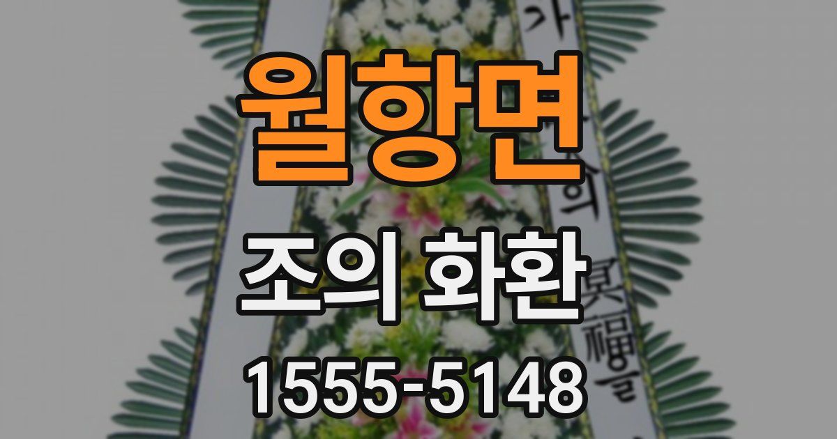 월항면 조의 화환