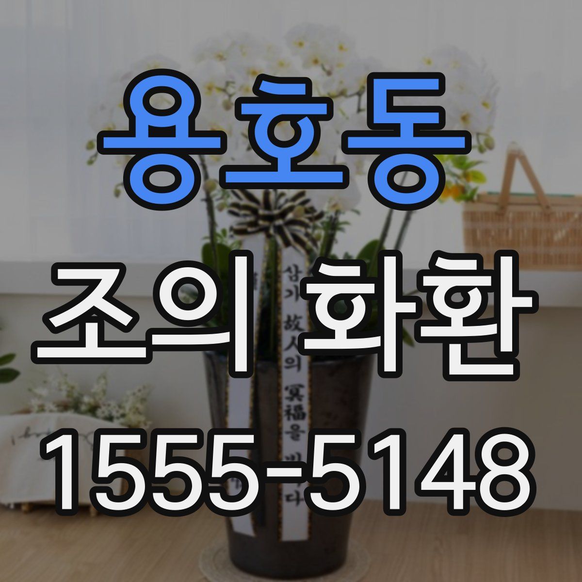 용호동 조의 화환