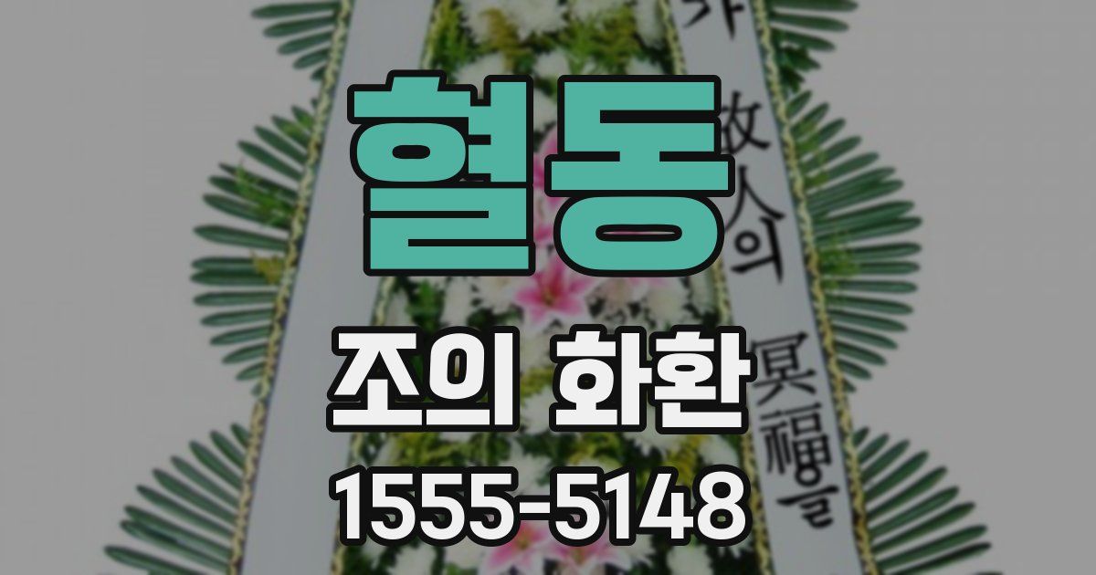 혈동 조의 화환