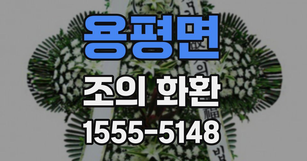 용평면 조의 화환