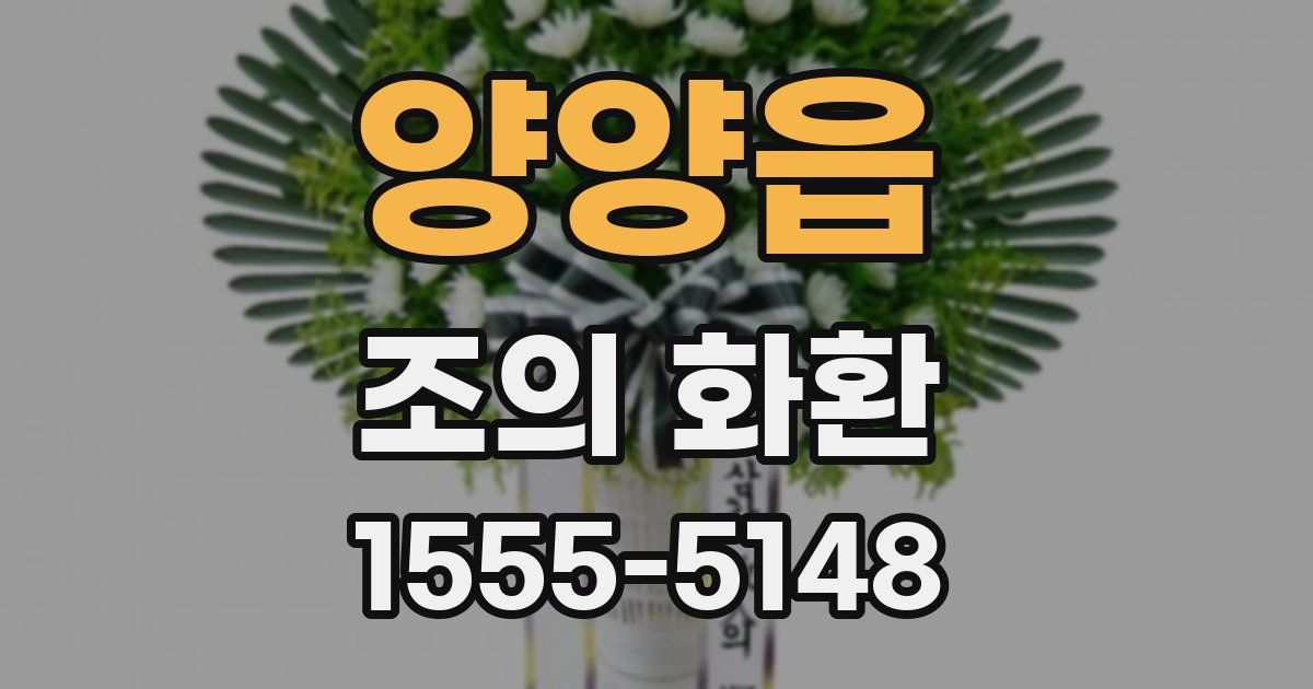 양양읍 조의 화환