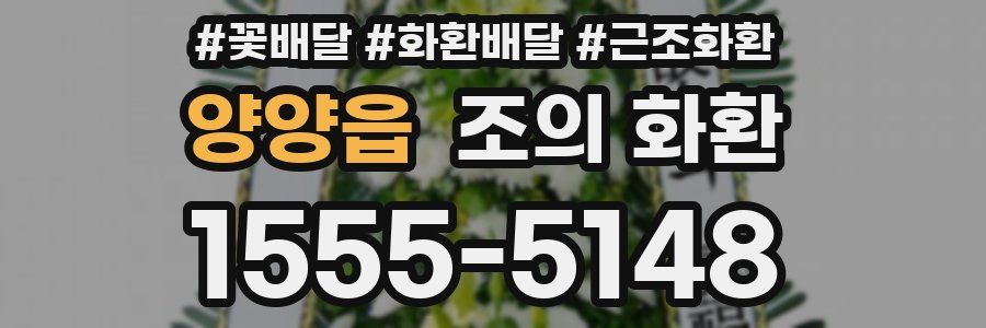 양양읍 조의 화환