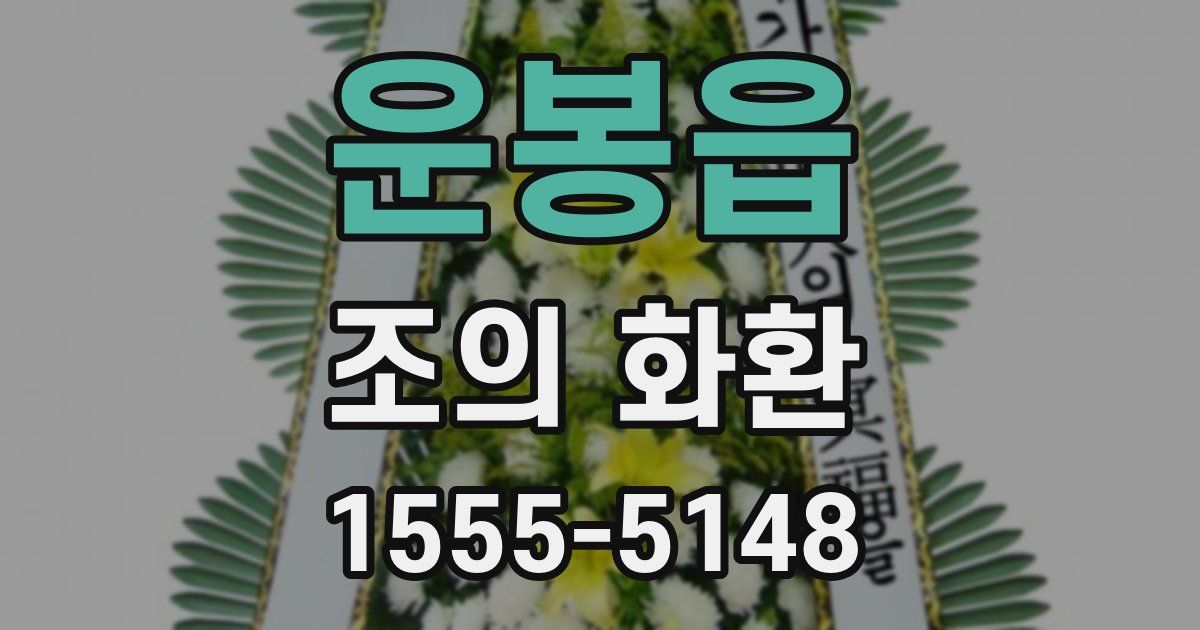 운봉읍 조의 화환