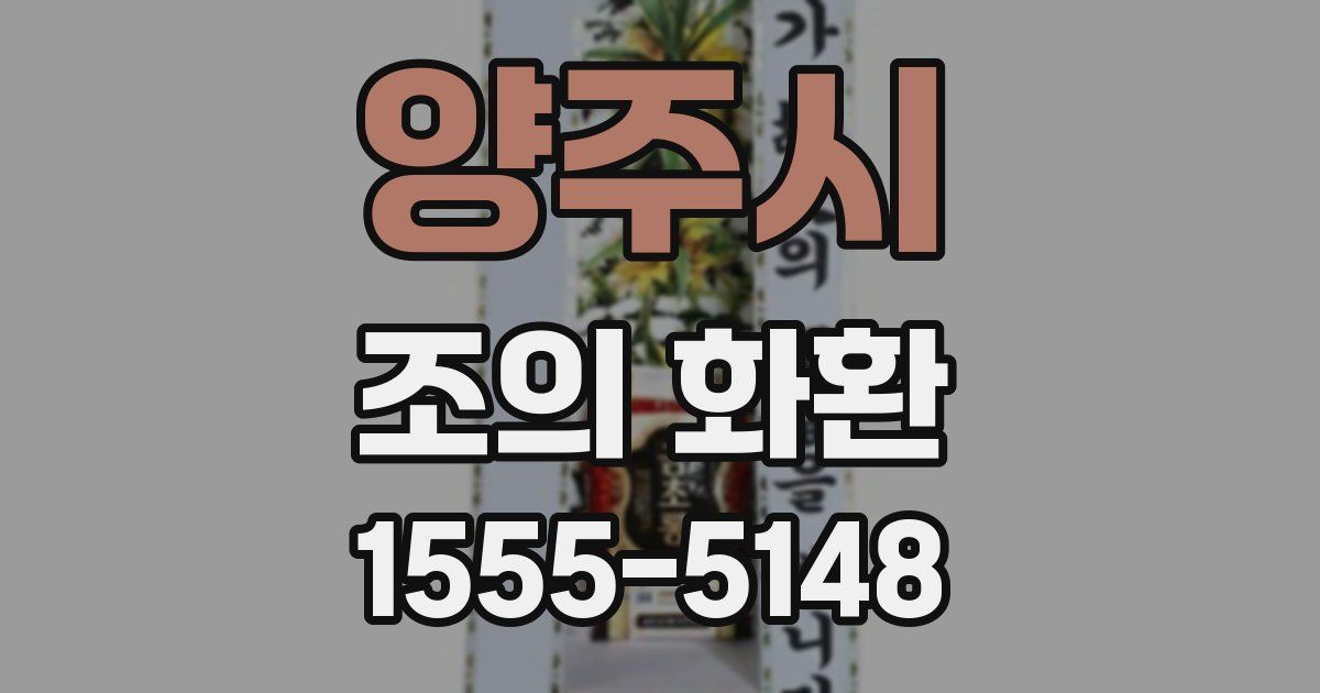 양주시 조의 화환