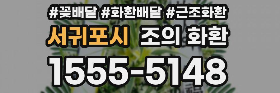 서귀포시 조의 화환