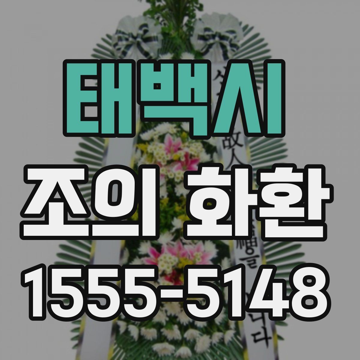 태백시 조의 화환 가격을 비교할 때 보는 항목