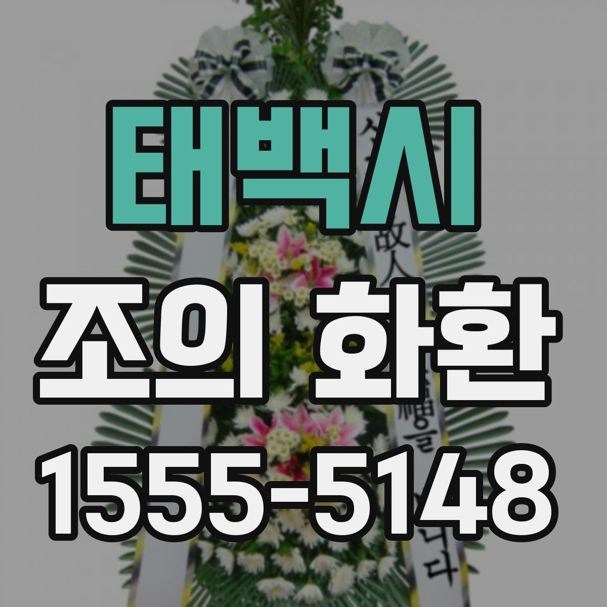 태백시 조의 화환