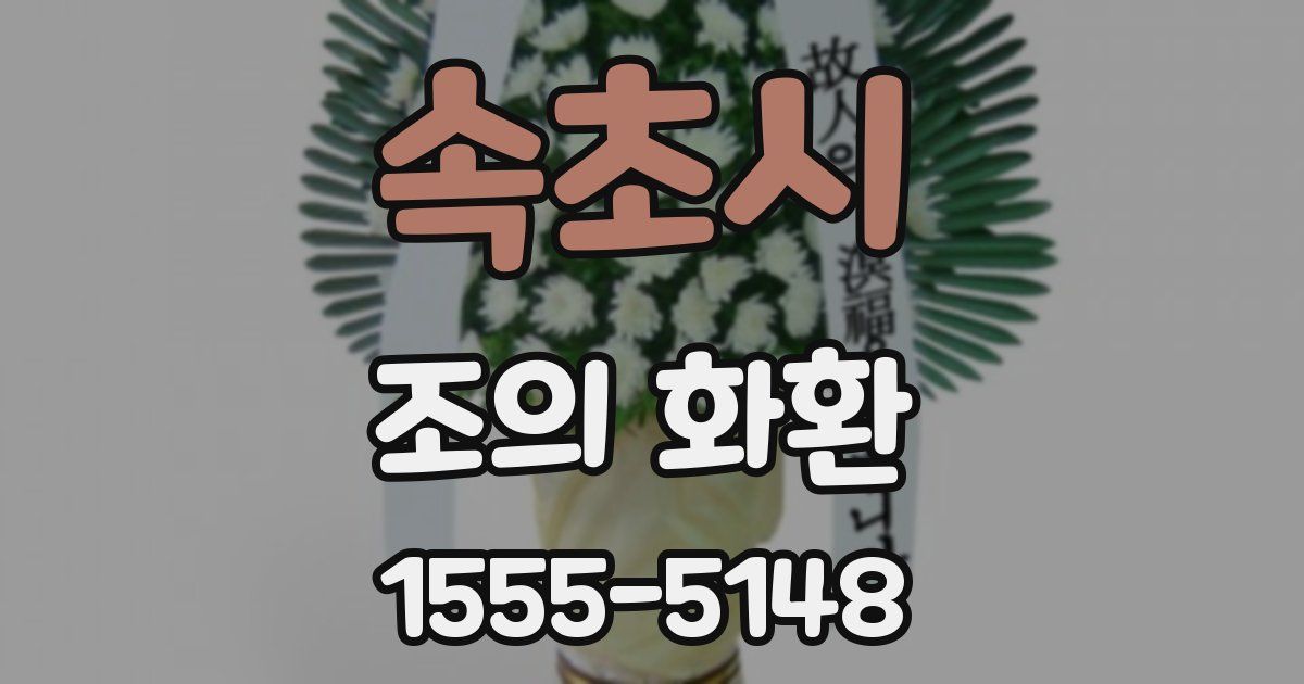 속초시 조의 화환