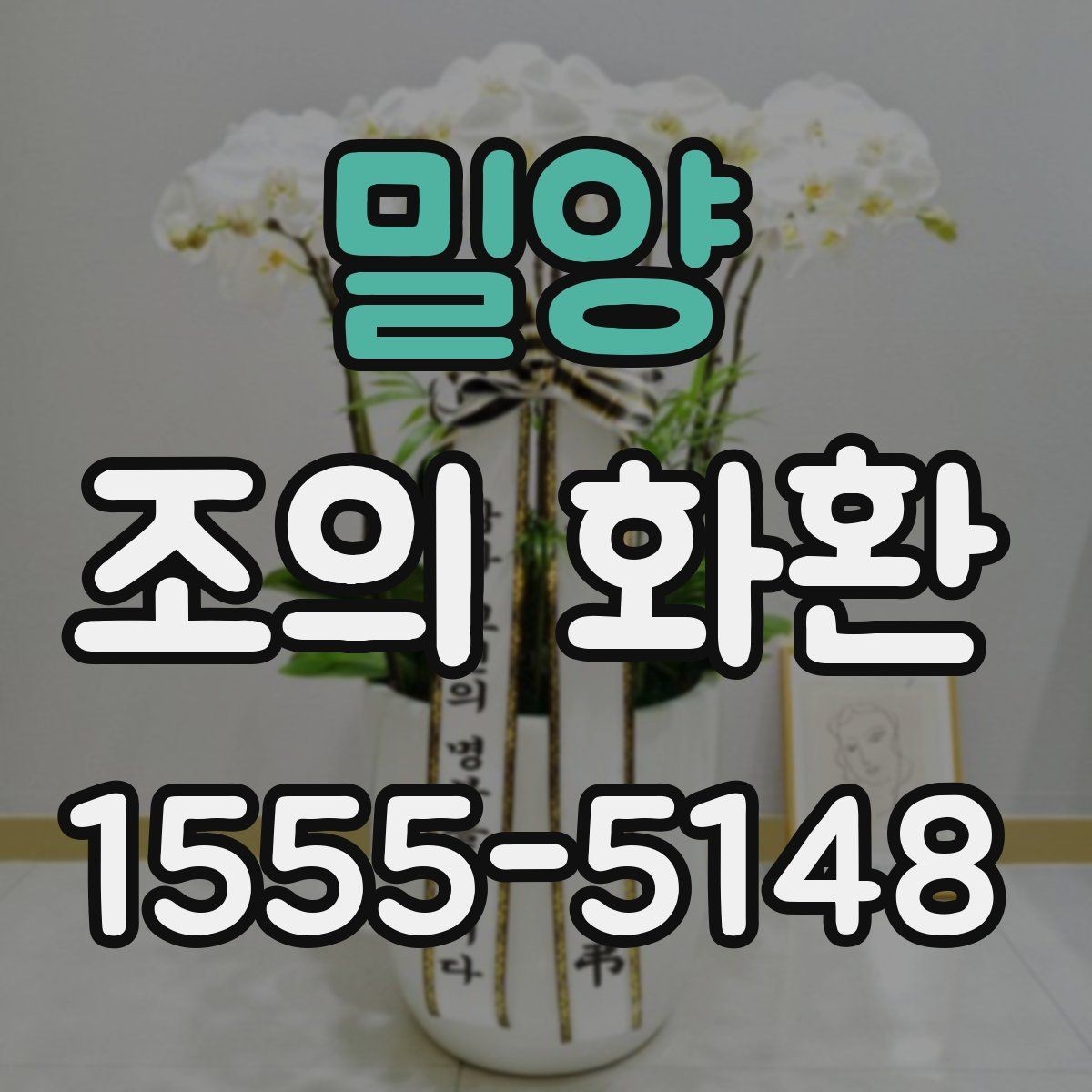 밀양 조의 화환 비교할 때 보기 쉬운 핵심 항목