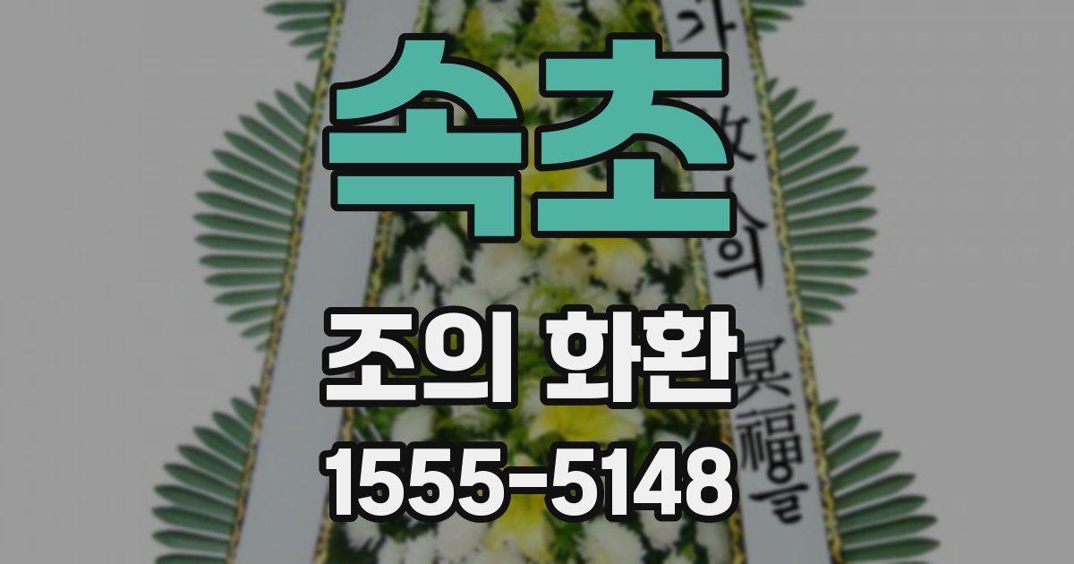 속초 조의 화환