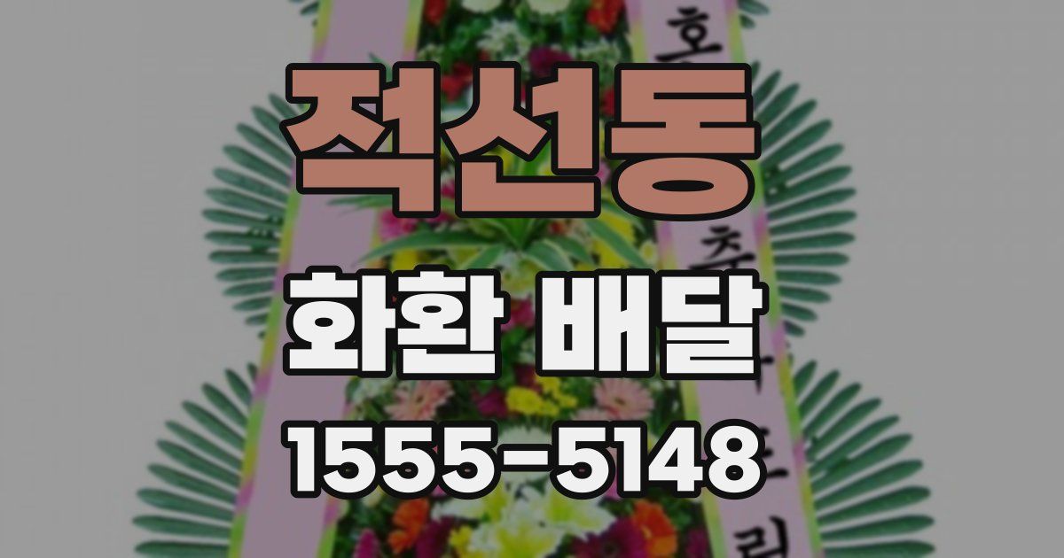 적선동 화환 배달