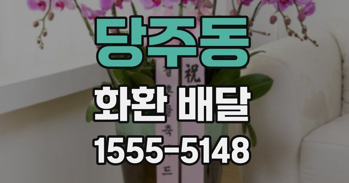 당주동 화환 배달