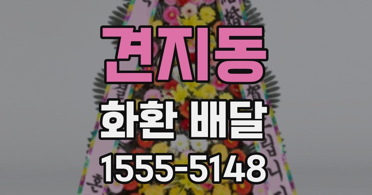견지동 화환 배달