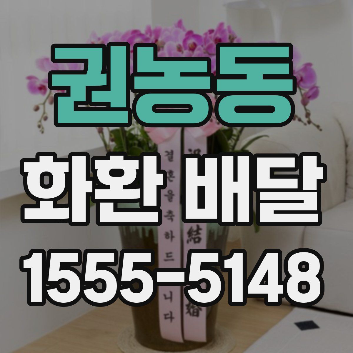 권농동 화환 배달