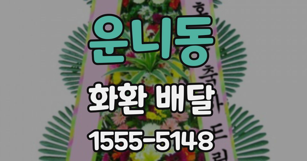 운니동 화환 배달