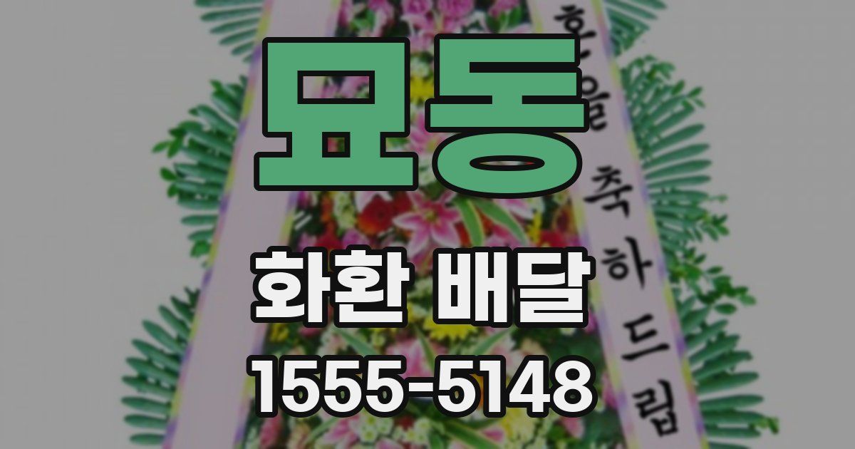 묘동 화환 배달