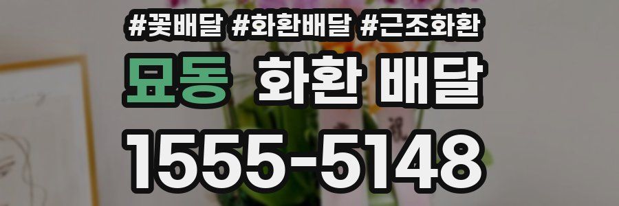 묘동 화환 배달