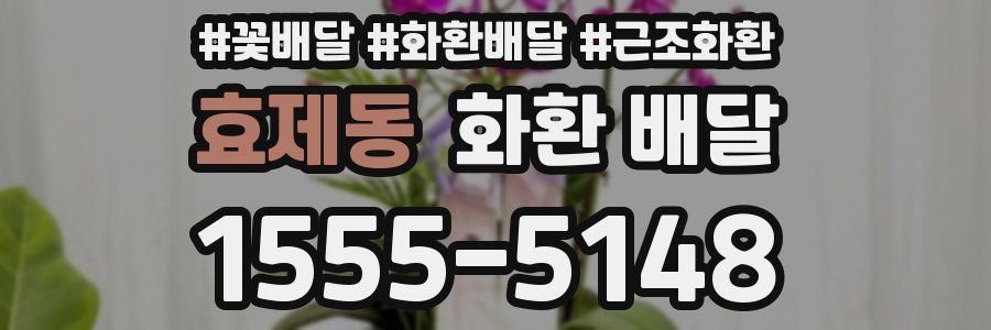 효제동 화환 배달