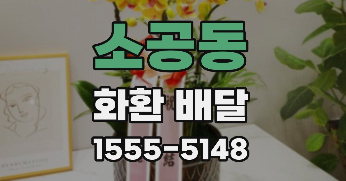 소공동 화환 배달