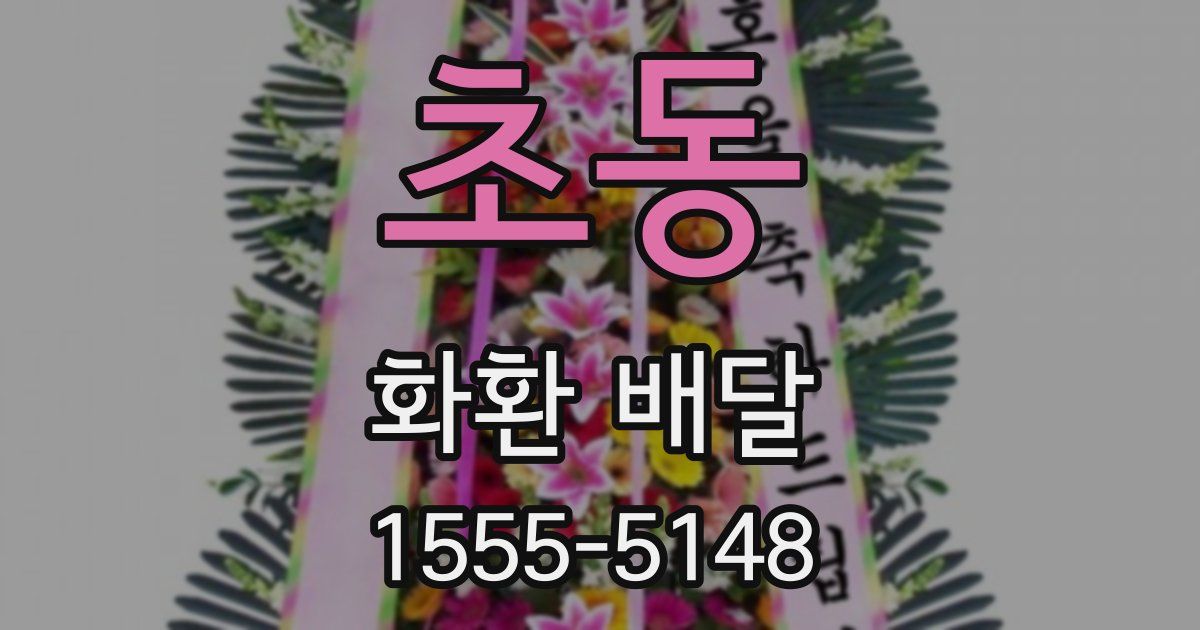 초동 화환 배달