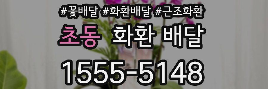 초동 화환 배달