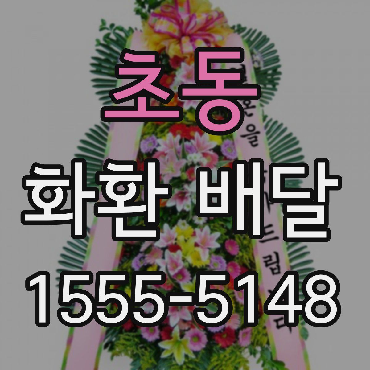 초동 화환 배달