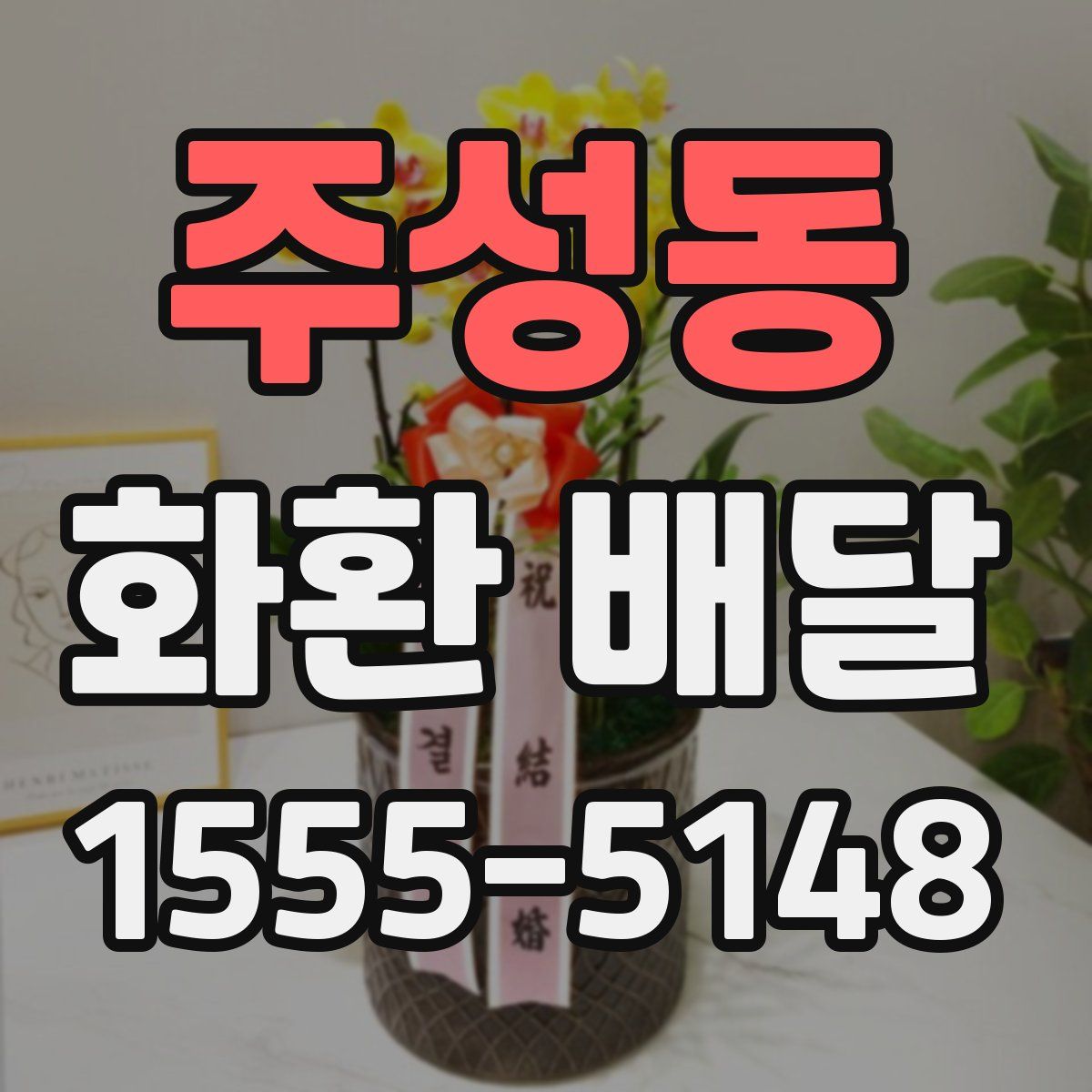 주성동 화환 배달