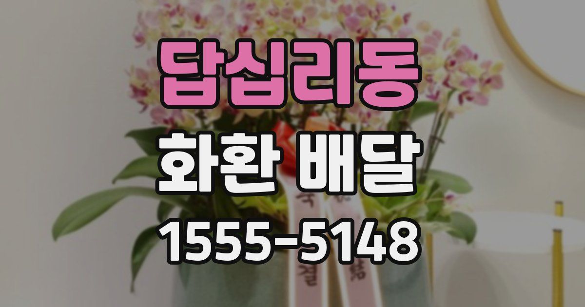 답십리동 화환 배달