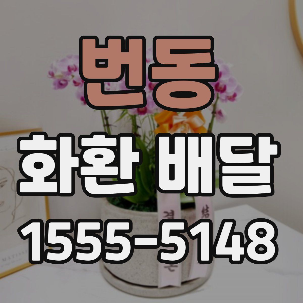번동 화환 배달